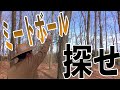 【コント】ミートボールを探せ！！！