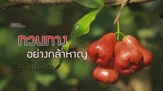 แผ่นดินทระนง ตอน...ทวนทางอย่างกล้าหาญ