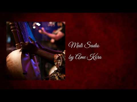 Mali Sadio Ame Kora Amadou Fall S West African Kora Music