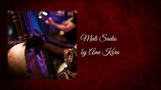 Mali Sadio - Ame Kora (Amadou Fall's West African Kora Music) screenshot 3