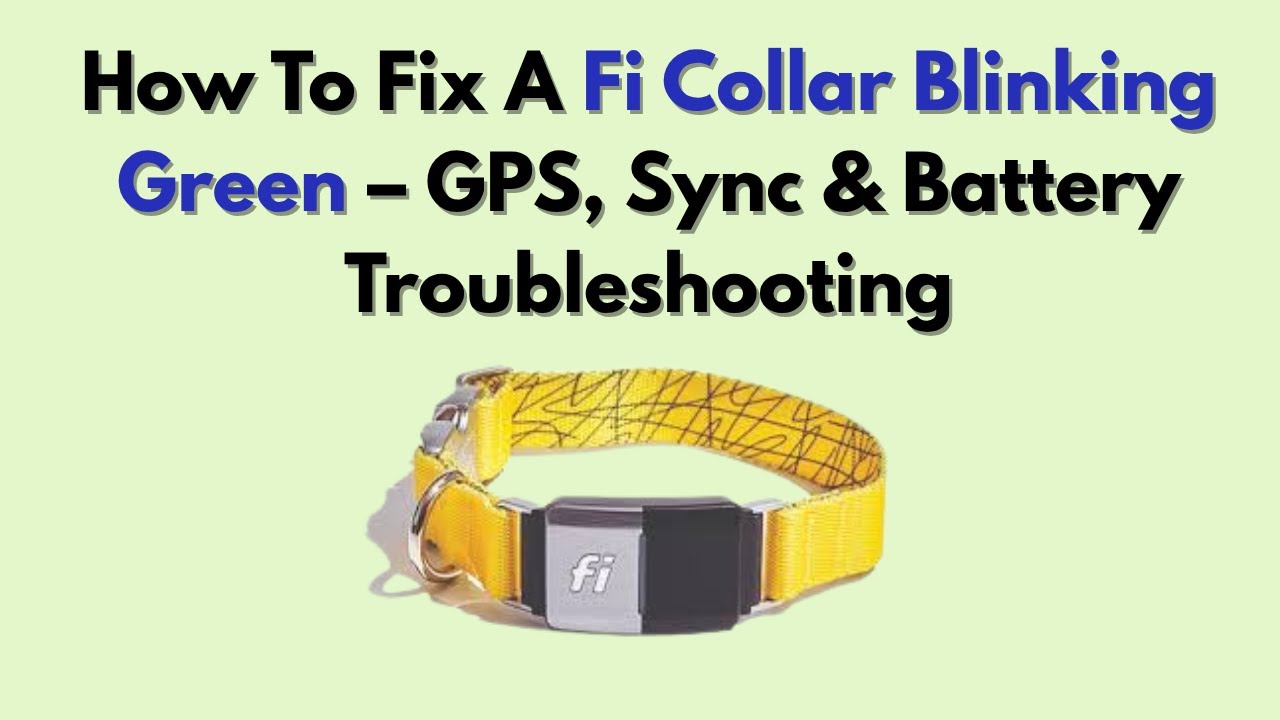 Fi Collar Wont Stop Blinking Green: Quick Fixes and Solutions