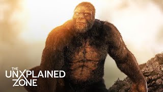 BIGFOOT'S GROWL HEARD FROM MILES AWAY (S2) | The Proof Is Out There | The UnXplained Zone