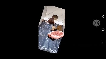 cận cảnh bẫy keo dính chuột như thế nào