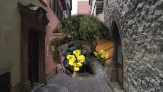 Waiting For Spring (Chill Ambiente Relax)