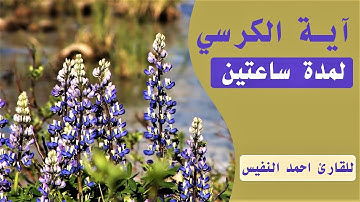 آية الكرسي مكررة ساعتين بصوت القارئ أحمد النفيس نفع الله بها
