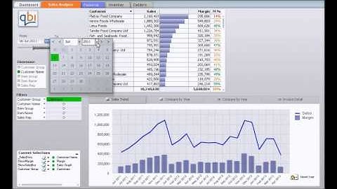 Business Intelligence for SAP Business One using Qlikview