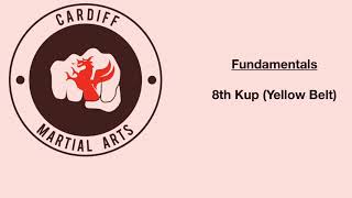 8th Kup Fundamentals