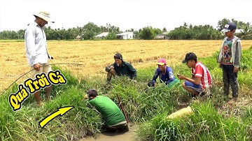 BẮT CÁ PHÁT HIỆN Ổ CÁ RÔ BẮT HOÀI KHÔNG HẾT MIỀN TÂY VUI LÀ CHÍNH/CATCH THE FISH