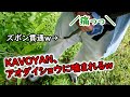 今年のヘビ探しBOTSU動画