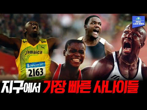   인간의 한계는 어디까지 육상의 꽃 올림픽 육상 남자 100m 결승 모음 1984 LA 올림픽 2016 리우 올림픽