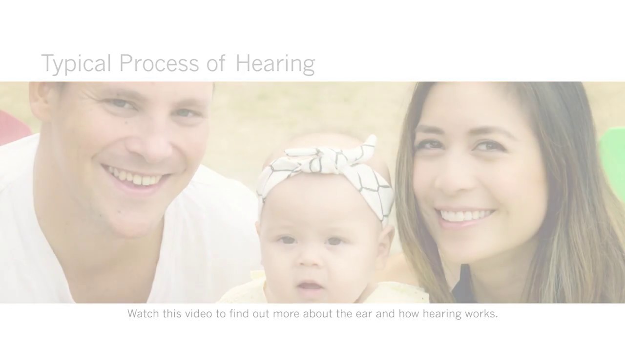 typical process of hearing english youtube how hearing works video