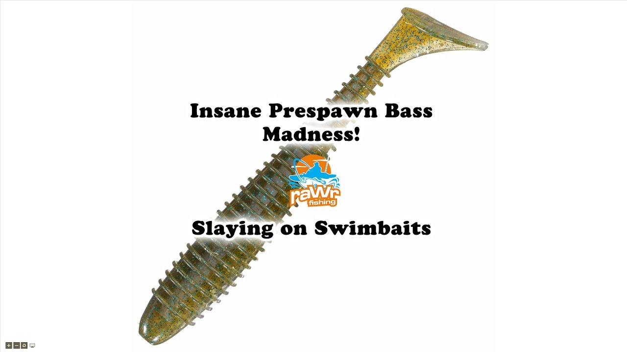Insane Prespawn Bass Fishing using BPS Speed Shad Swimbaits