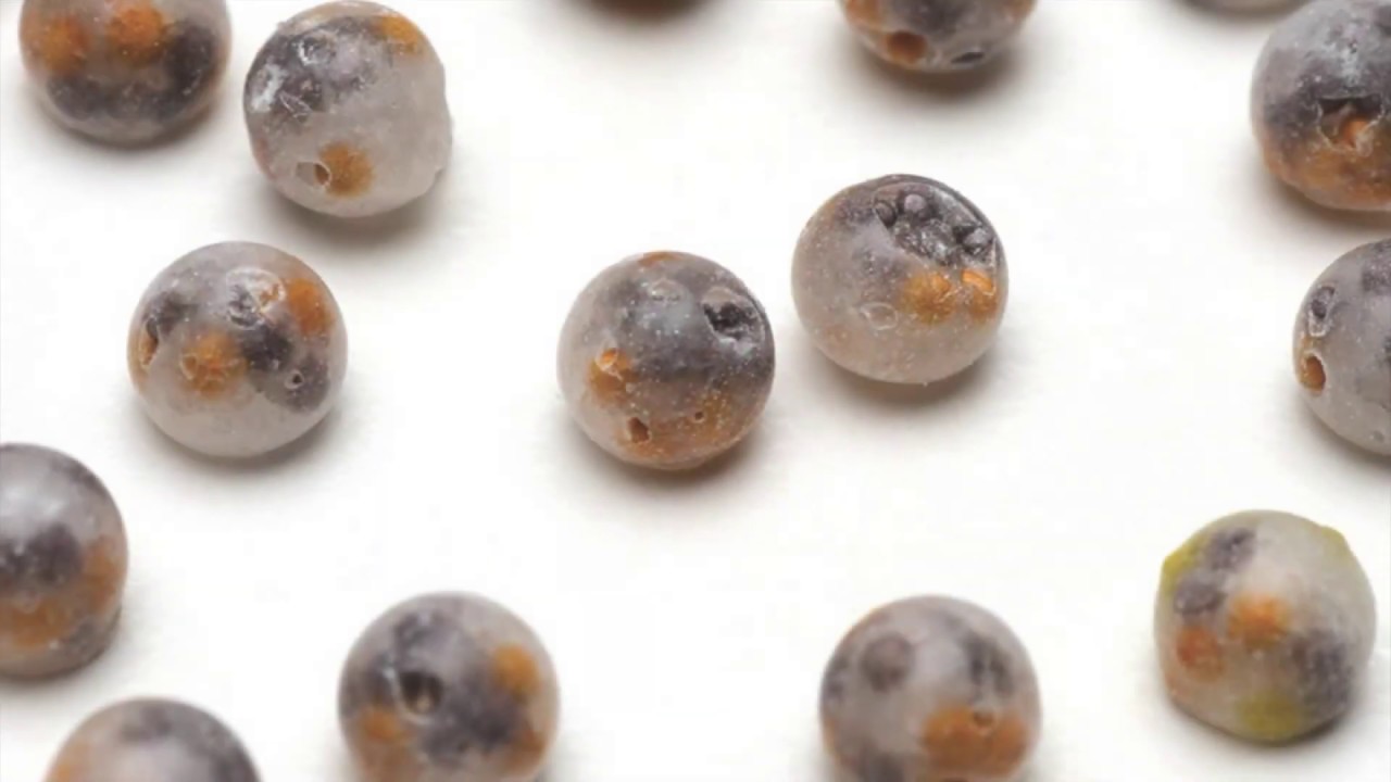 GERMAN: Precision Multi-Pellet - General Overview