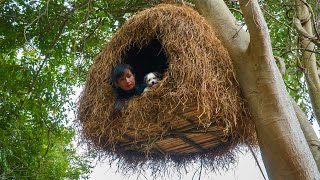 Building Bird Nest Tree House