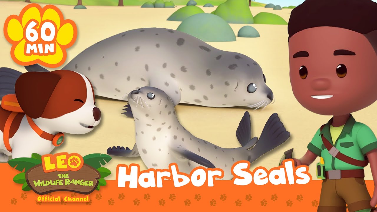 Rescue Seals, Dolphins and more! Pacific Ocean Animals | Leo the Wildlife Ranger | Kids Cartoons