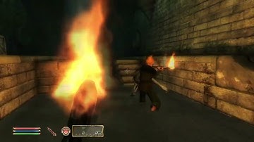 Day 56 - Killing Adoring Fan Every Day Until Elder Scrolls Skyblivion is Released