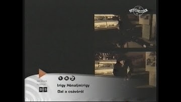 Irigy Hónaljmirigy - Dal a csávóról