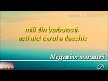 Negativ versuri esti aici cerul e deschis mili din barbulesti 2017