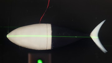 Tunabot: The First Robotic Fish to Keep Pace with a Yellowfin Tuna