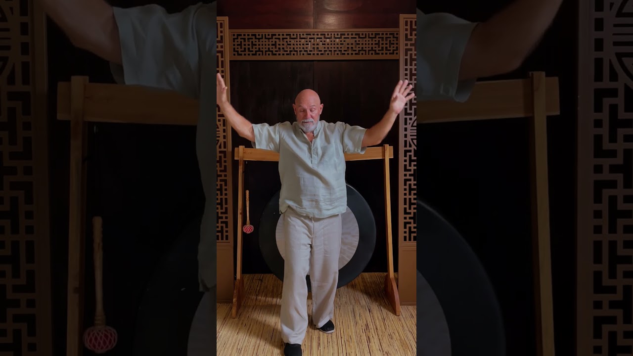 Forest Rock 7 Day Qi Gong Challenge Day 6 Qi Gong for Back Pain Relief Part 1