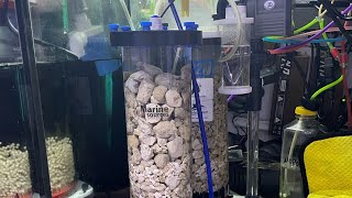 Setting CALCIUM REACTOR after reset tank #reef #reeftank