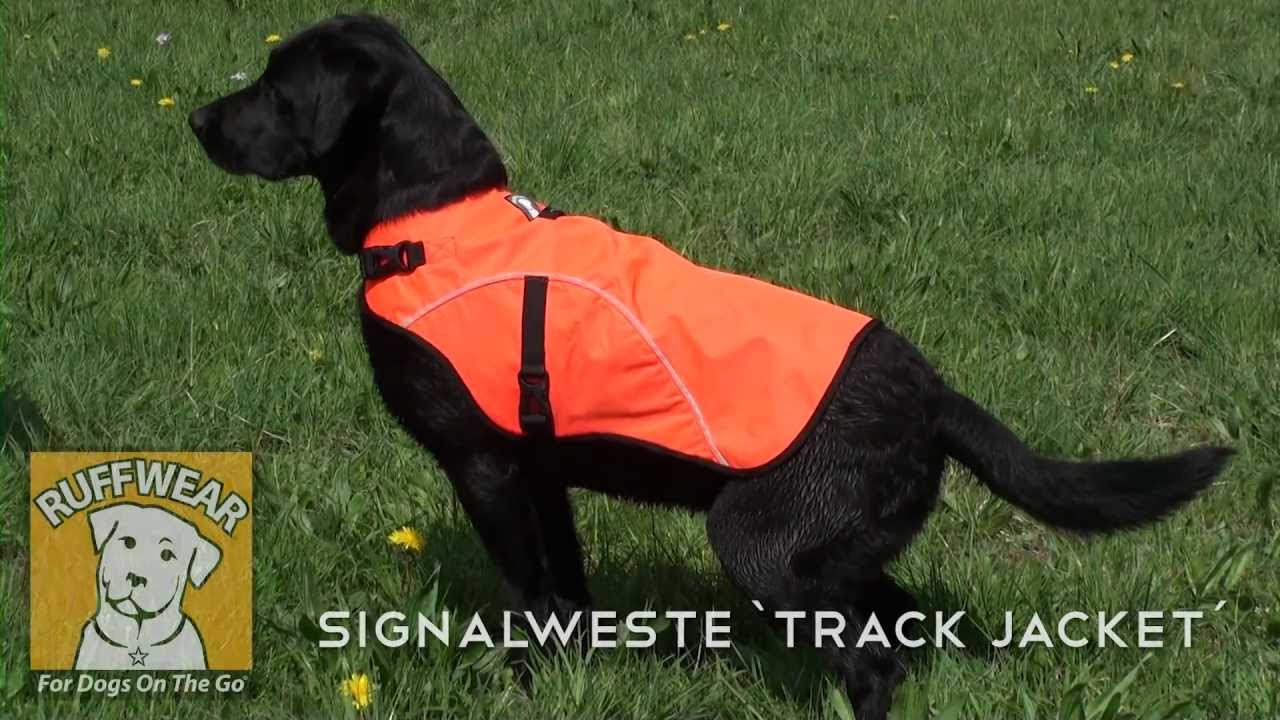 Ruff Wear Track Jacket Ruffwear Signalweste Signaljacke für Hunde YouTube