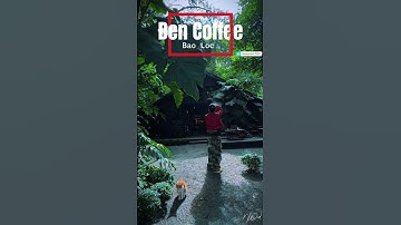 ĐEN COFFEE BẢO LỘC #nwind