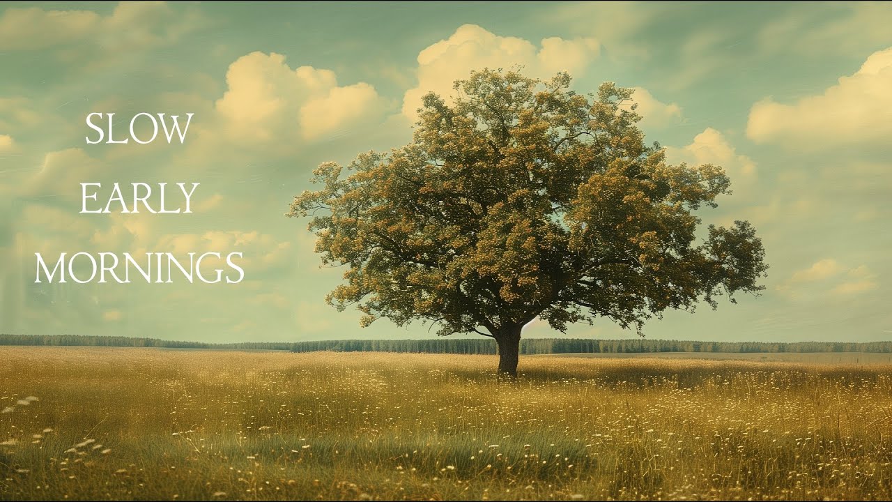 Slow early mornings | Piano Playlist Slow early mornings | Piano Playlist