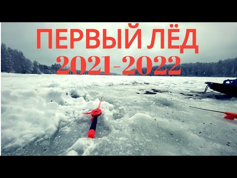 Первый лёд 2021-2022. Кого удалось поймать?