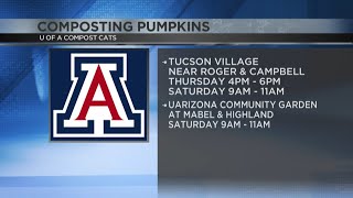 UArizona wants your leftover pumpkins