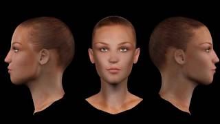 3D Demoreel 2012