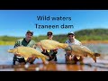 Carp fishing tzaneen dam with massive delkim run at the end 