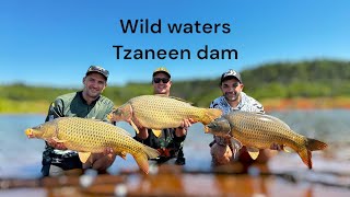 CARP FISHING TZANEEN DAM -WITH MASSIVE DELKIM RUN AT THE END !