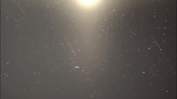 Code Vein part 1: tutorial