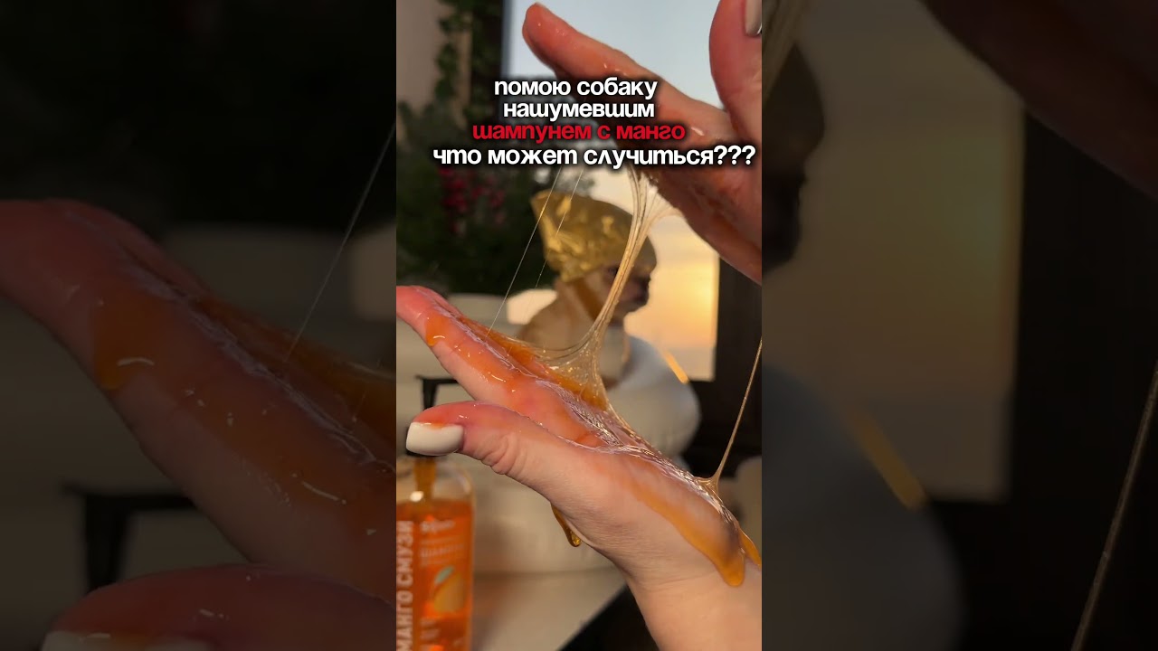 ШОК😨и что делать? арт:578495070 