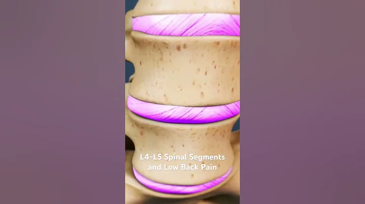 L4-L5 Spinal Segment and Low Back Pain