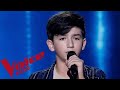 : Lady Gaga – Always remember us this way | Arieh | The Voice Kids 2020 | Blind Audition