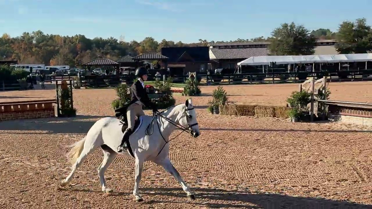 Tryon Fall 6- National Hunter Derby First Round