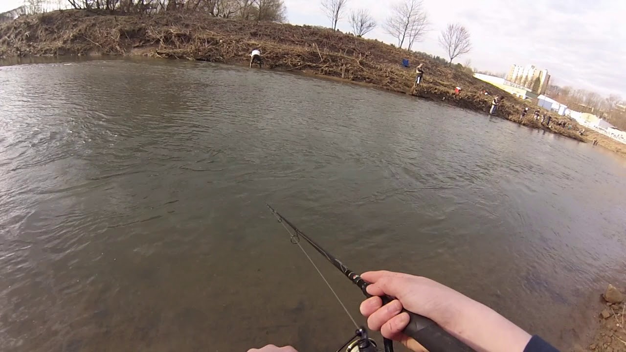 Trout Fishing! (Pa Opening Day 2018) YouTube