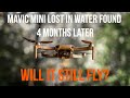 DJI Mavic Mini lost in the water and found 4 months later. Will it still fly?