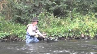 peche ombre sur l'aude