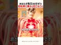 毎日30分自転車に乗ると起こる変化