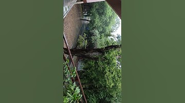 Department of Genetics and Plant Breeding CCSU