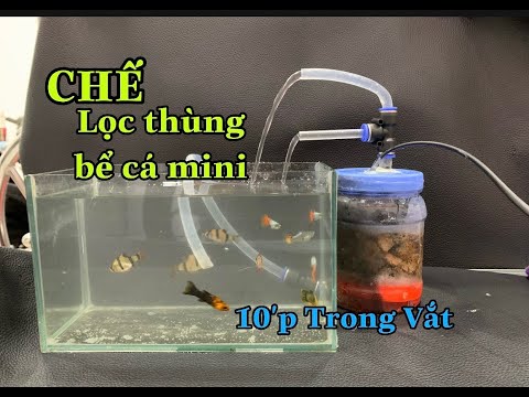 Video Chế Lọc Thùng Ngon - Bổ - Rẻ Cho Bể Cá Mini @HH review - youtube