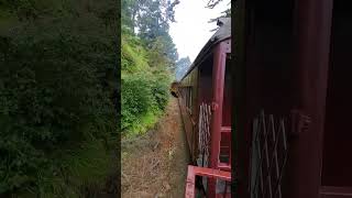 Traveling Aboard Fort Bragg Skunk Train EMD GP9