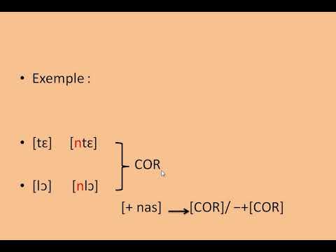 Vidéo: Qu'est-ce que l'assimilation régressive en phonologie ?