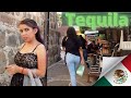 Tequila Mexico 🇲🇽 Walking Tour Including Markets, Street Food and More - Motorcycle Mexico  Ep 12 🏍