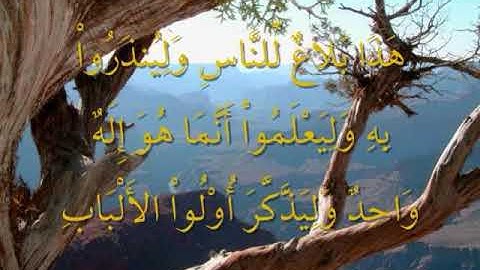 سورة ابراهيم بأعذب صوت  القارئ أبوأويس الجزائري