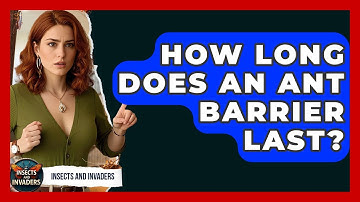 How Long Does An Ant Barrier Last? - Insects and Invaders