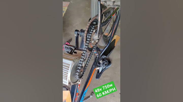48 Volt 750 Watt BLDC Motor || 60 KM/PH